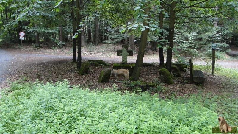 Ritterstein Nr. 132-4c Steinernes Kreuz 1910.JPG - Ritterstein Nr.132  Steinernes Kreuz 1910                               